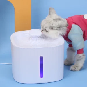 Bebedouro Fonte de Água Elevado Automático Com Filtro 3 Estágios Para Pet Cachorro Gato 3 Litros